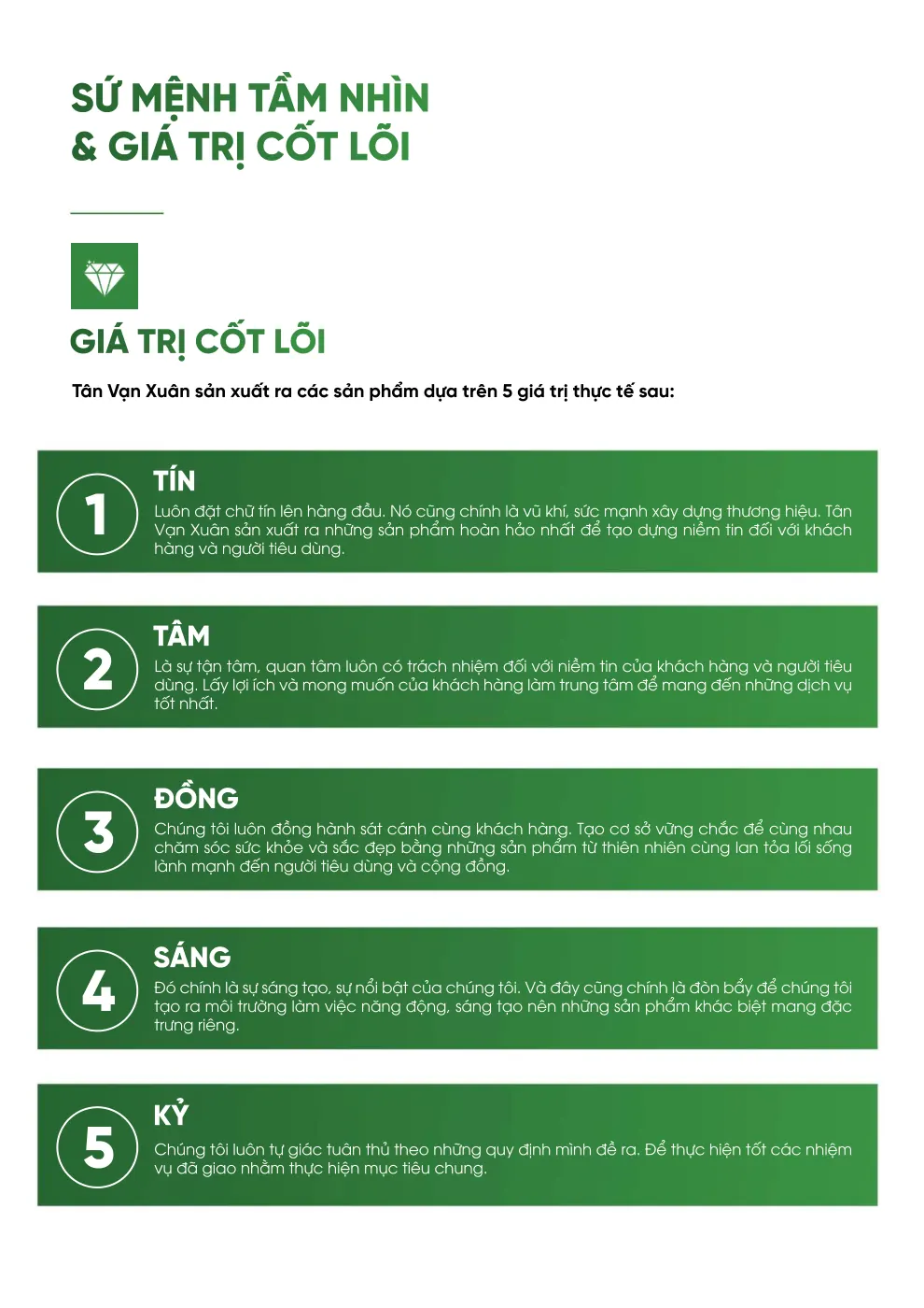 Hồ sơ năng lực Tân Vạn Xuân - trang 7