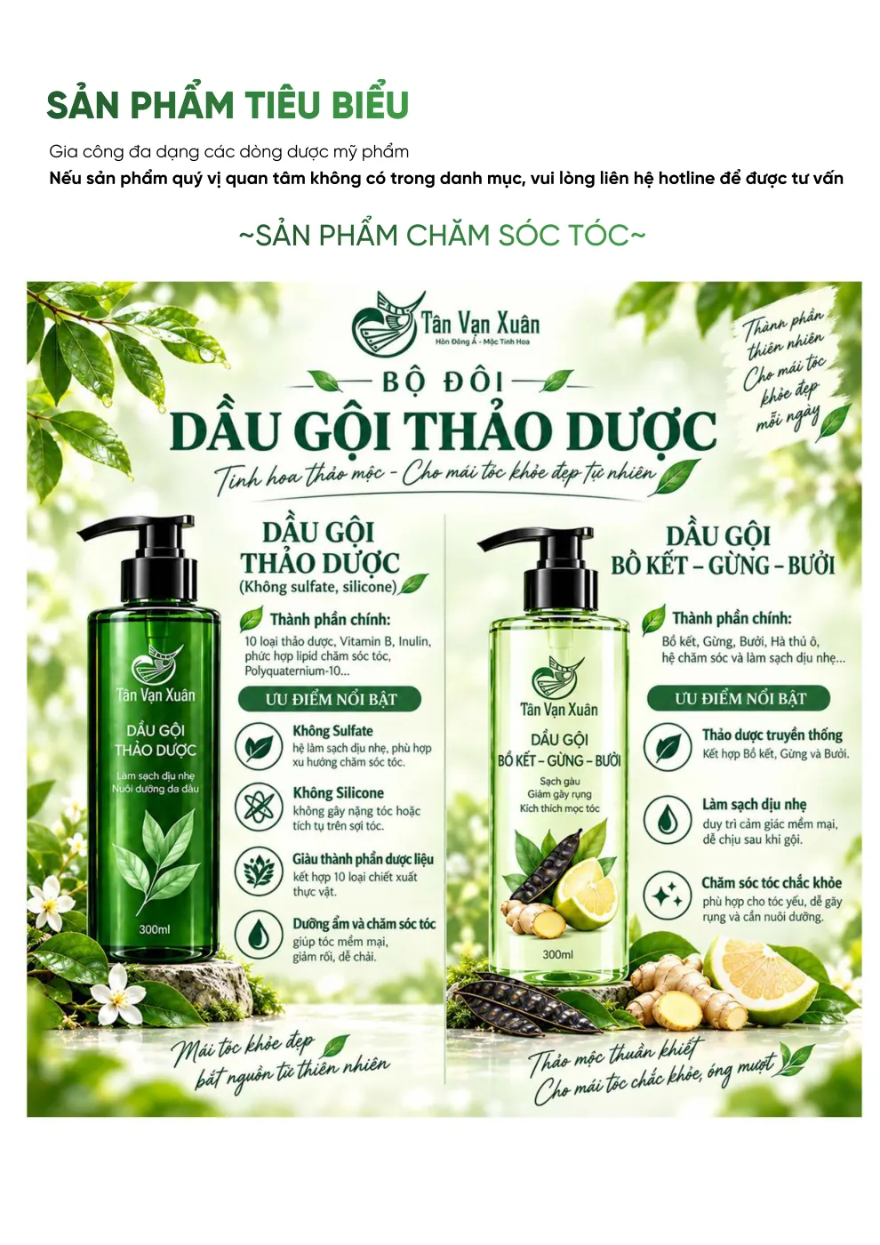 Hồ sơ năng lực Tân Vạn Xuân - trang 8