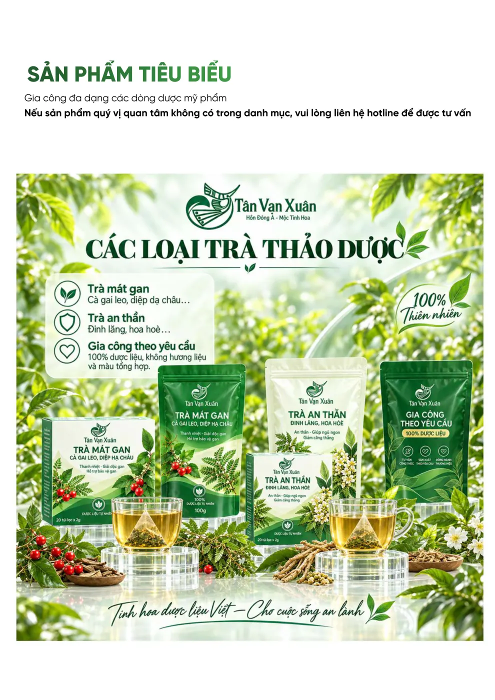 Hồ sơ năng lực Tân Vạn Xuân - trang 28