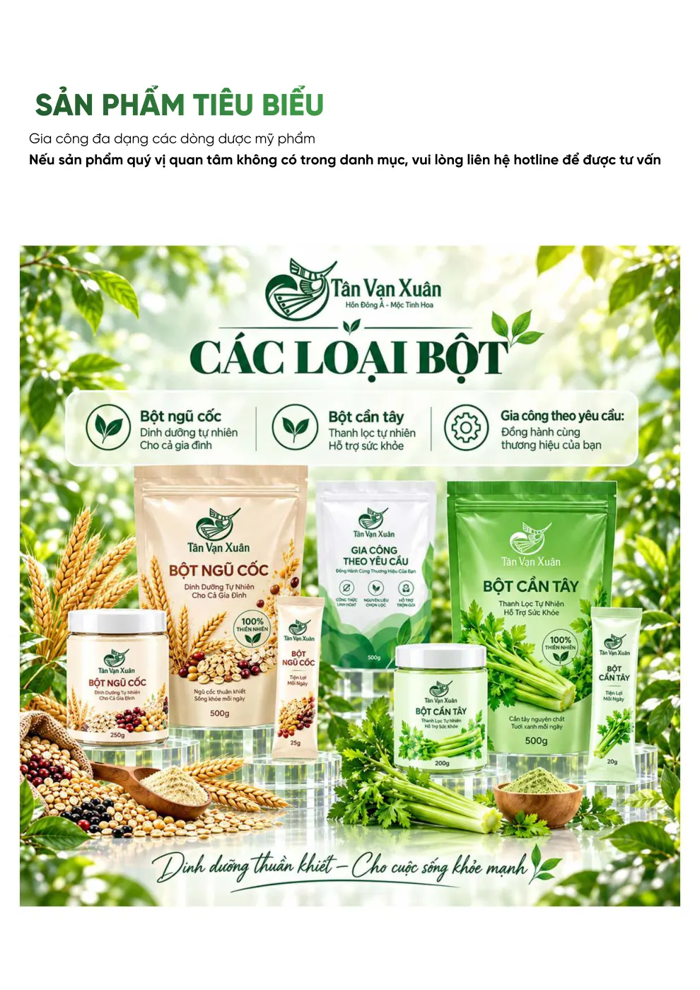 Hồ sơ năng lực Tân Vạn Xuân - trang 29