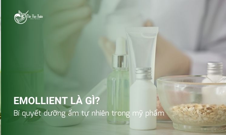 Emollient là gì? Bí quyết dưỡng ẩm tự nhiên trong mỹ phẩm