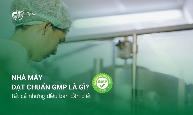 Nhà máy đạt chuẩn GMP là gì? tất cả những điều bạn cần biết