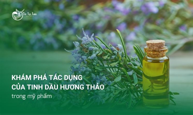 Khám phá tác dụng kỳ diệu của tinh dầu hương thảo trong mỹ phẩm