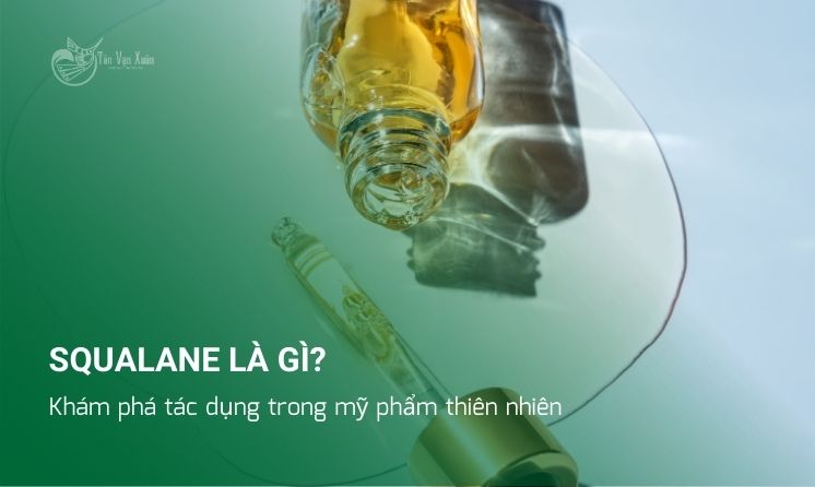 Squalane là gì? Khám phá tác dụng trong mỹ phẩm thiên nhiên