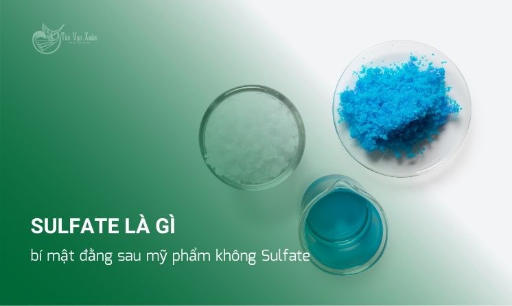 Sulfate là gì? bí mật đằng sau mỹ phẩm không Sulfate