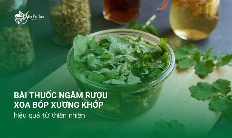 Top 5 bài thuốc ngâm rượu xoa bóp xương khớp hiệu quả từ thiên nhiên