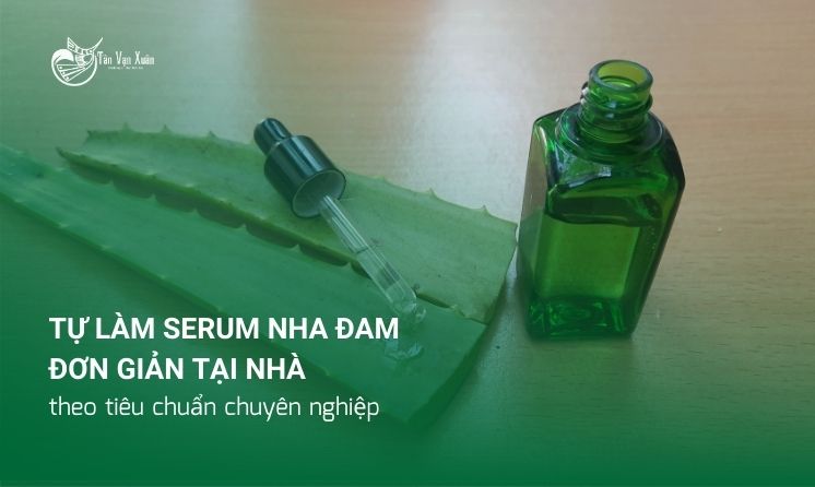 Tự làm serum nha đam đơn giản tại nhà theo tiêu chuẩn chuyên nghiệp