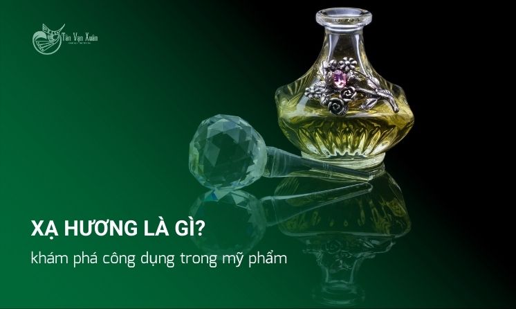 Xạ hương là gì? khám phá công dụng trong mỹ phẩm