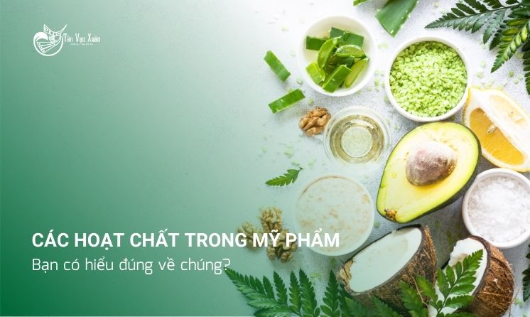 Các hoạt chất trong mỹ phẩm: Bạn có hiểu đúng về chúng?