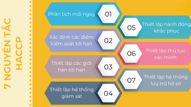 7 nguyên tắc cần tuân thủ về tiêu chuẩn HACCP trong mỹ phẩm