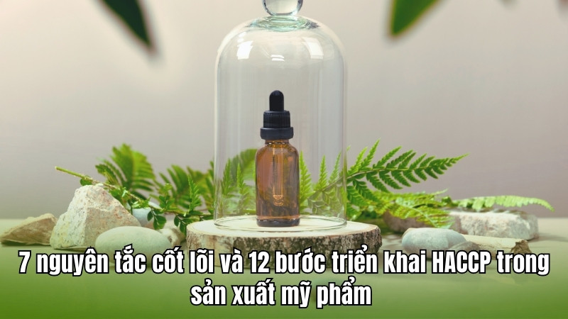 7 nguyên tắc cốt lõi và 12 bước triển khai HACCP trong sản xuất mỹ phẩm