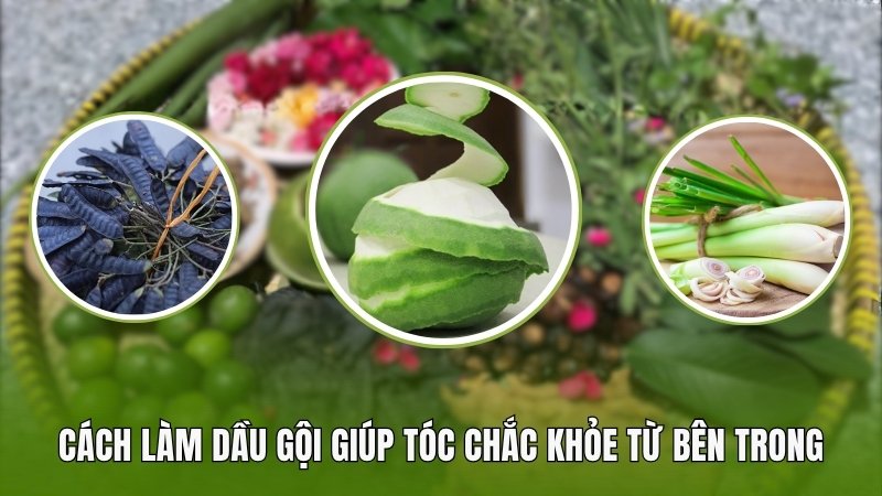 Cách làm dầu gội thảo dược giúp tóc chắc khỏe từ bên trong