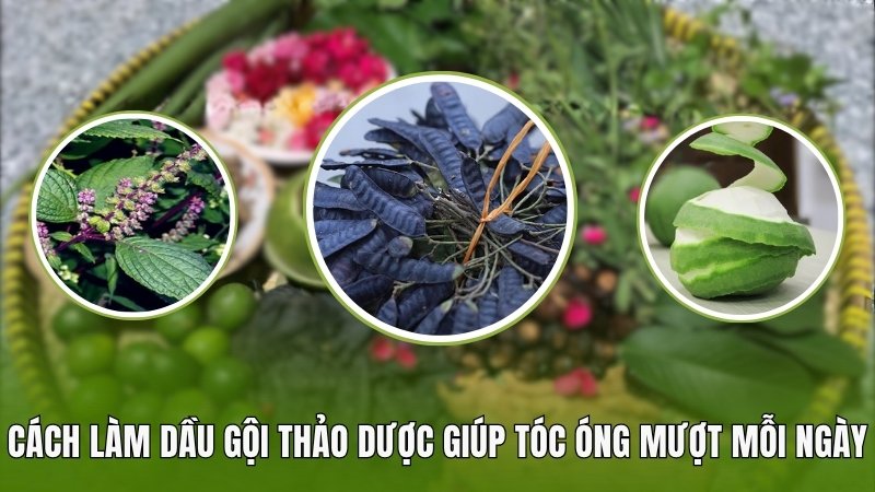 Cách làm dầu gội thảo dược giúp tóc óng mượt mỗi ngày