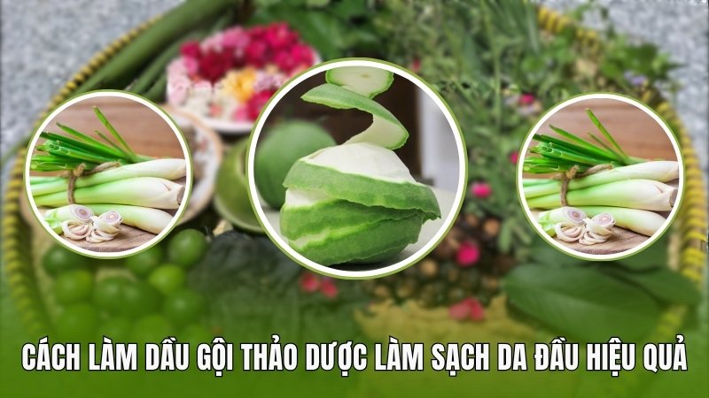 Cách làm dầu gội thảo dược làm sạch bụi bẩn bã nhờn hiệu quả