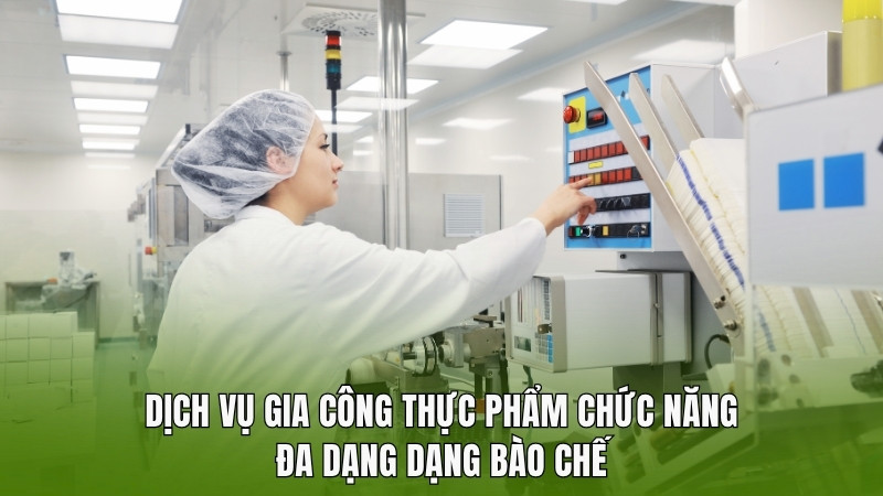 Dịch Vụ Gia Công Thực Phẩm Chức Năng – Đa Dạng Dạng Bào Chế