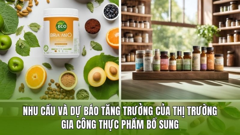 Nhu cầu và dự báo tăng trưởng của thị trường