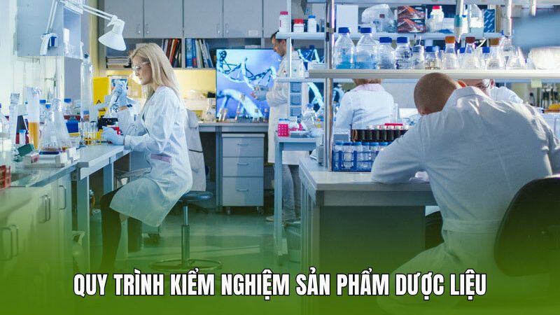 Quy trình kiểm nghiệm sản phẩm dược liệu