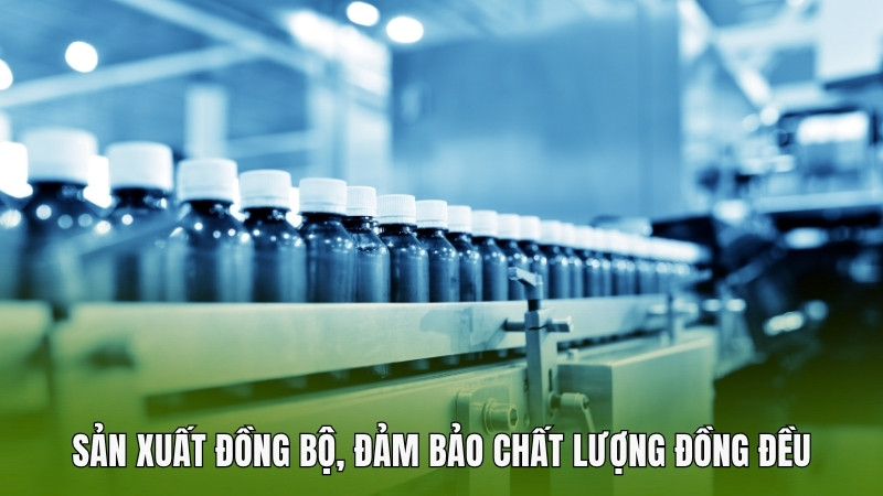 Sản xuất đồng bộ, đảm bảo chất lượng đồng đều