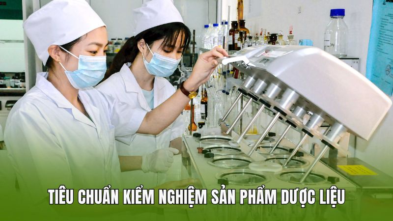Tiêu chuẩn kiểm nghiệm sản phẩm dược liệu