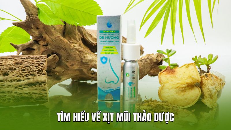 Tìm hiểu về xịt mũi thảo dược