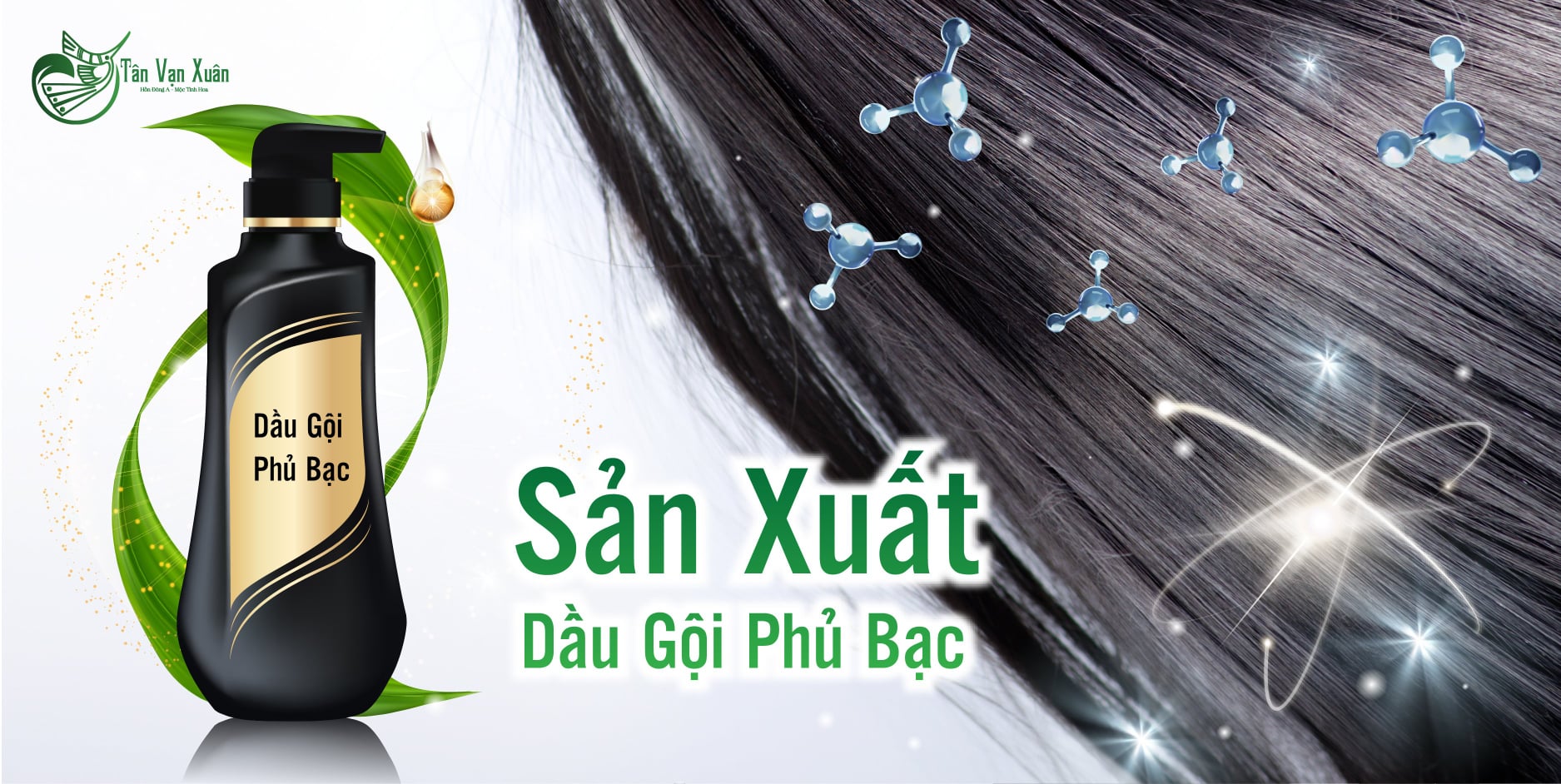 Dầu gội phủ bạc