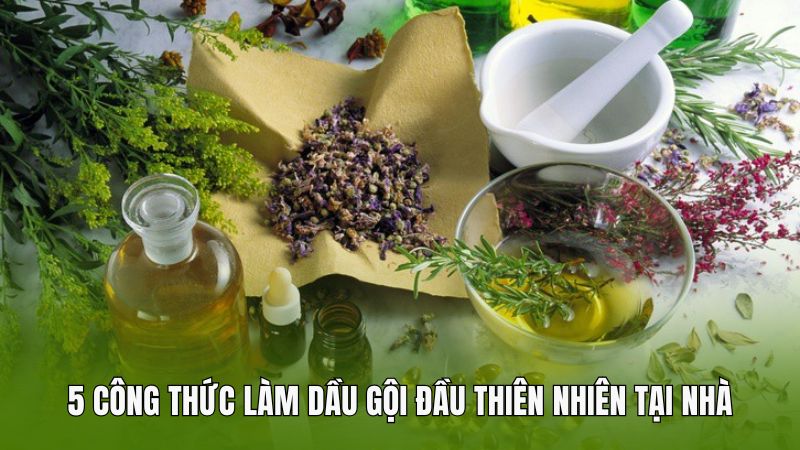 5 công thức làm dầu gội đầu thiên nhiên tại nhà