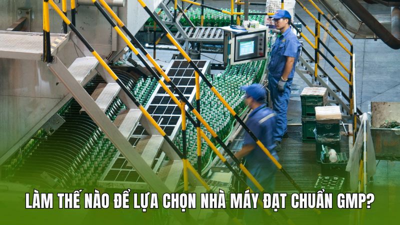 Làm thế nào để lựa chọn nhà máy đạt chuẩn GMP?