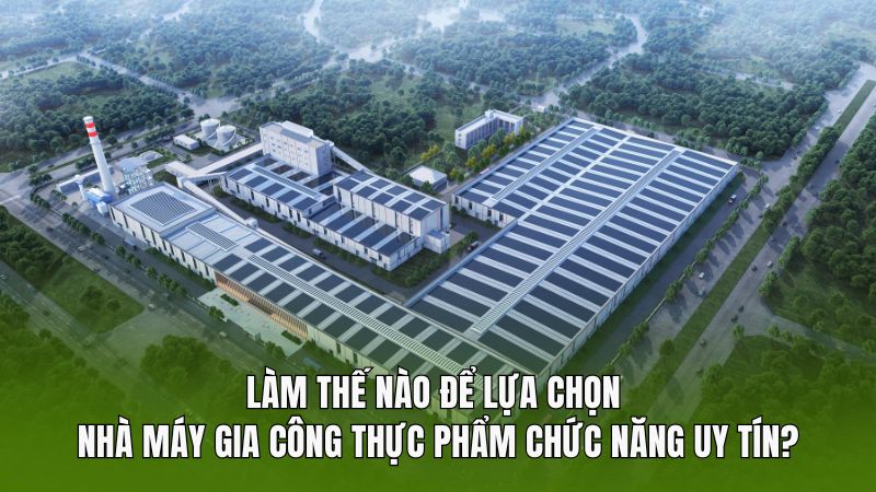 Làm thế nào để chọn nhà máy gia công thực phẩm chức năng uy tín?