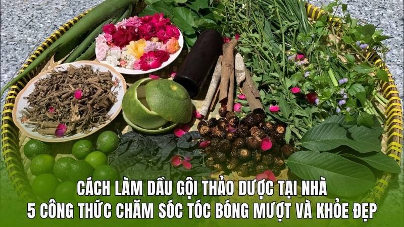 Cách làm dầu gội thảo dược tại nhà: 5 công thức chăm sóc tóc bóng mượt và khỏe đẹp