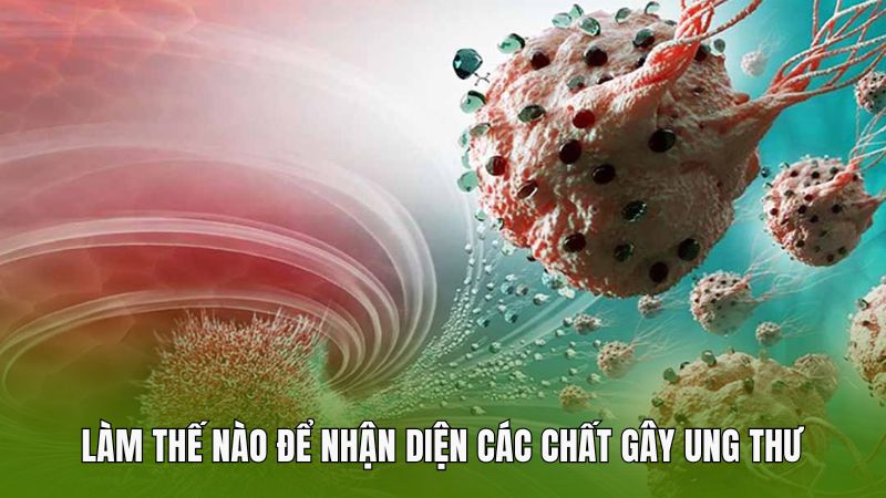 Làm thế nào để nhận diện các chất gây ung thư