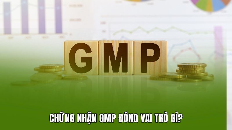 Chứng nhận GMP đóng vai trò gì?