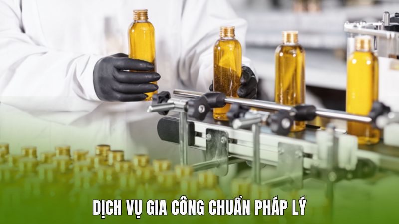 Dịch vụ gia công chuẩn pháp lý