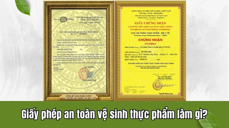 Giấy phép an toàn vệ sinh thực phẩm làm gì?