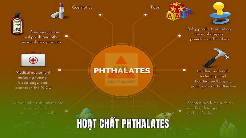 Phthalates
