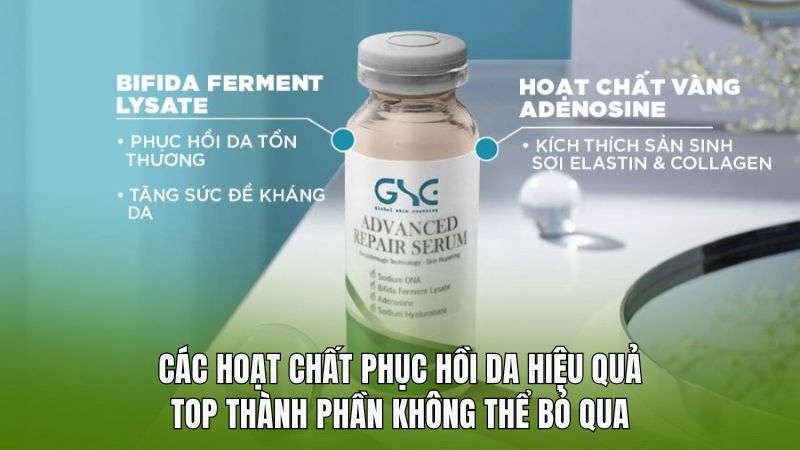 Các hoạt chất phục hồi da hiệu quả: top thành phần không thể bỏ qua