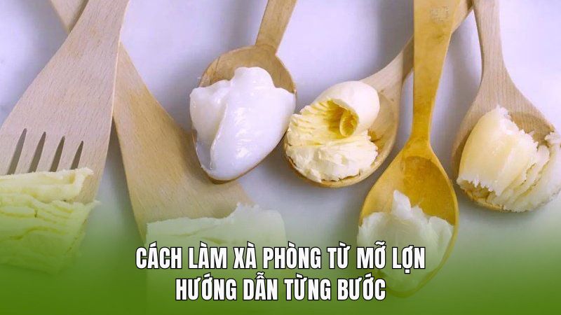 Hướng dẫn từng bước làm xà phòng từ mỡ lợn (chuẩn GMP)