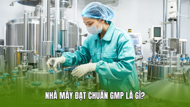 Nhà máy đạt chuẩn GMP là gì?