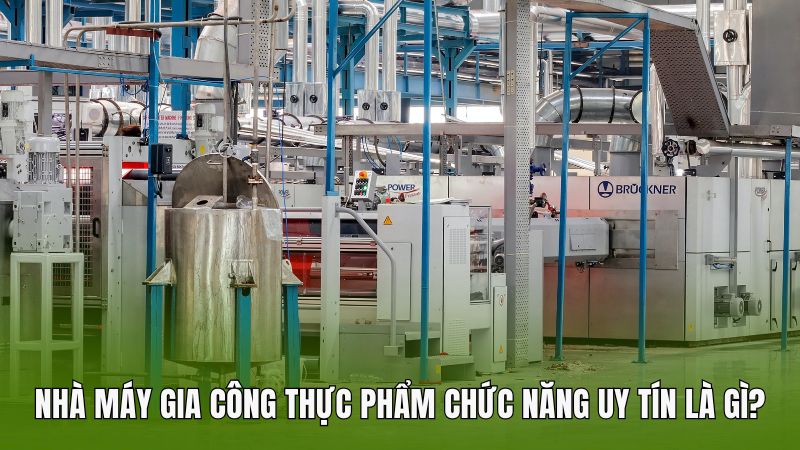 Chứng nhận GMP đóng vai trò gì?