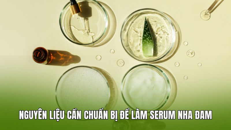 Nguyên liệu cần chuẩn bị để làm serum nha đam