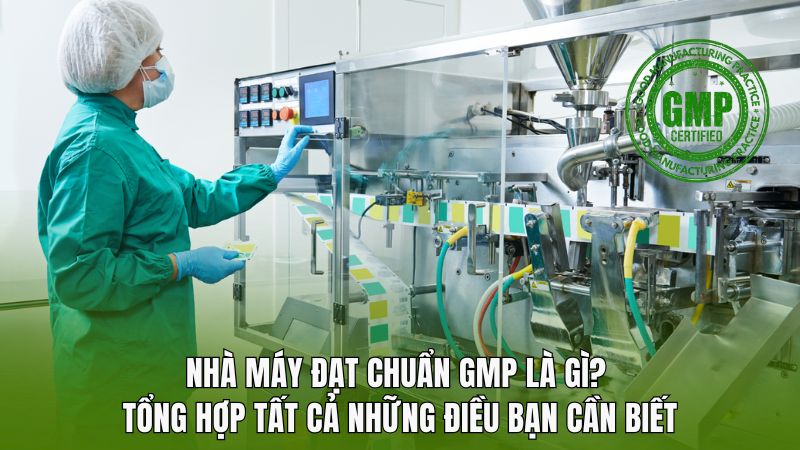 Nhà máy đạt chuẩn GMP là gì? tất cả những điều bạn cần biết