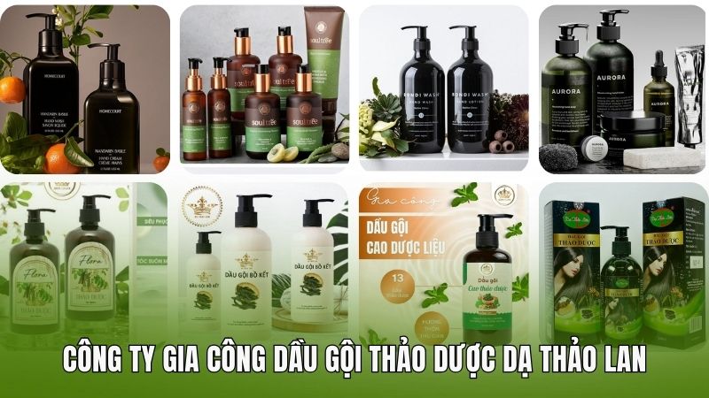 Công ty gia công dầu gội thảo dược Dạ Thảo Lan