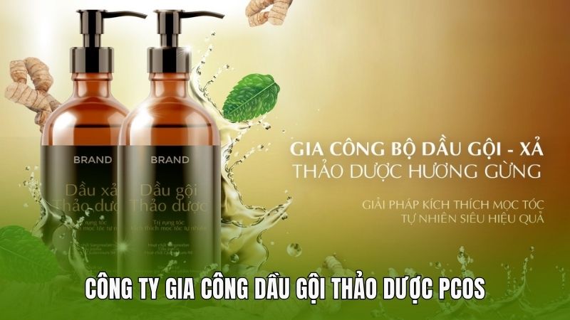 Công ty gia công dầu gội thảo dược PCOS