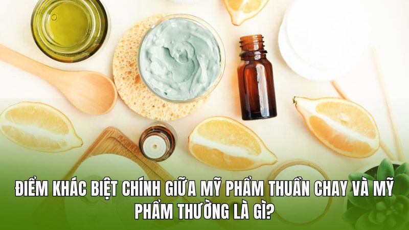 Điểm khác biệt chính giữa mỹ phẩm thuần chay và mỹ phẩm thường là gì?