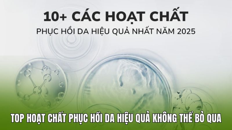 Top các hoạt chất phục hồi da hiệu quả không thể bỏ qua