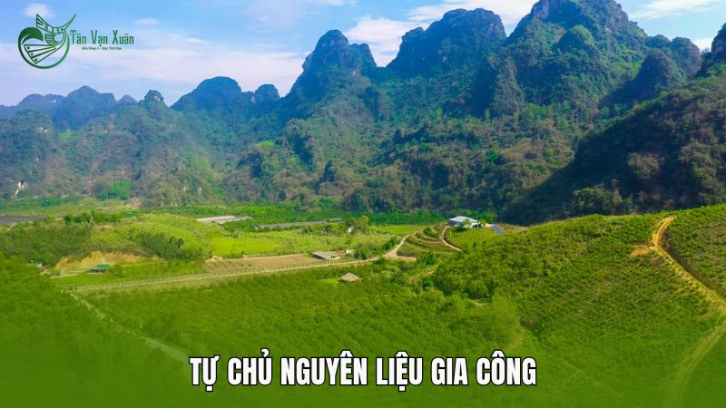 Tự chủ nguyên liệu gia công